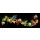 Alexander Raths, Fruits with water splash