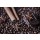 gpointstudio, Defocused coffee, chocolate and cinnamon