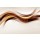 SidorArt, Gold Brown Wave Design Abstract Background