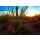 bvuhh, Desert Sunset