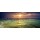 Olga Khoroshunova, Sunset over the sea. Amazing landscape panorama