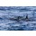 IAM-PHOTOGRAPHY, Orcas pilot whales taken at the atlantic near andenes lofoten