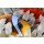 uwimages, Anemone fish lying eggs