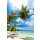 Beboy, seychelles plage cocotier