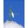 Anette Linnea Rasmus, white snowdrop