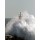 Zacarias da Mata, Stormy wave