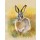 Nadiia Starovoitova, Bunny gray
