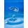 Andrey Armyagov, water drop