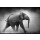 JOHAN SWANEPOEL, Baby Elephant running (Artistic processing)