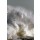 Zacarias da Mata, Big Waves