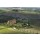 Blickfang, Toscana Landschaft Italien