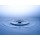 nasared, Wassertropfen, Tropfen, Water Drop