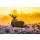 arturas kerdokas, Red deer in the morning sun
