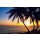 Oleksandr Dibrova, Tropic sunrise through the coconut palms