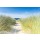 reachart777, Dune with beach grass close-up.