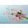 doris oberfrank-list, Dandelion clock: wishes and dreams    :)