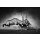 JOHAN SWANEPOEL, Gemsbok fight