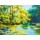 max5799, Oil painting landscape - lake in the forest