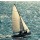frog-travel, Yacht teamwork - racing of sailing regatta.