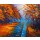 Boyan Dimitrov, Autumn landscape