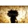 Anette Linnea Rasmus, dandelion seed