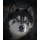 Blickfang, Husky Portrait Dark