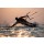 catwalkphotos, Kitesurfing