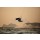 catwalkphotos, Kitesurfing