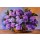 max5799, oil painting on canvas - a bouquet of lilacs , made in the style