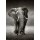 JOHAN SWANEPOEL, Elephant approach from the front