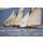 Christophe Baudot, Sailing boat