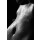 tverdohlib, Sexual female body