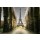 Giuseppe Porzani, vista della Torre Eiffel da rovine storiche