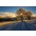 danielschoenen, Winterlandschaft 2