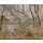 Camille Pissarro, Bords de l’Oise, pres de Pontoise, temps gris