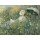 Claude Monet, Dans la Prairie