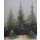 Caspar David Friedrich, Fichtendickicht im Schnee