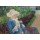 Mary Cassatt, Lydia häkelt im Garten bei Marly