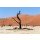 artush, Hidden Vlei in Namib desert