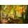 Leinwandbild, grandfailure, bright forest...., gespiegelt
