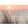 ThomBal, Sonnenuntergang an der Ostsee