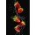 Alexander Raths, Strawberries in water splash