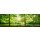 eyetronic, Grünes Wald Panorama im Sonnenlicht