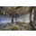 Grischa Georgiew, empty room