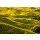 stevanzz, Langhe vineyards sunset panorama, Barolo, Piedmont, Italy Europe.