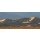 David Smith, sand dunes at sunset in death valley california