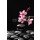 Mee Ting, frangipani and black pebbles