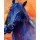 Boyan Dimitrov, Blue horse