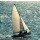 frog-travel, Yacht teamwork - racing of sailing regatta.
