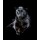 byrdyak, Black leopard